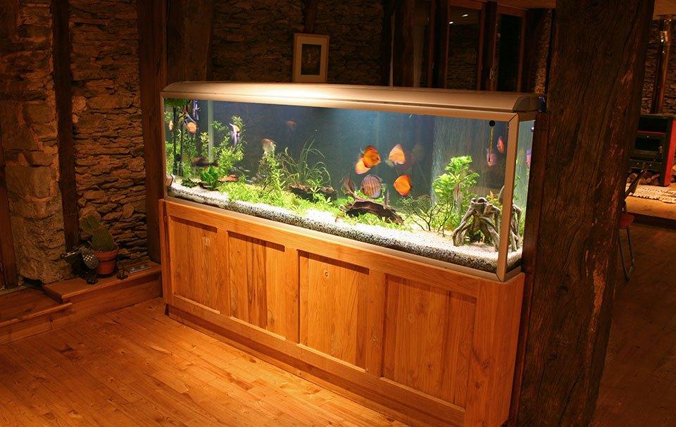 Fish Tank Accessories & Decorations – AllPondSolutions