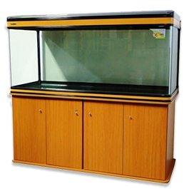 5ft best sale fish tank