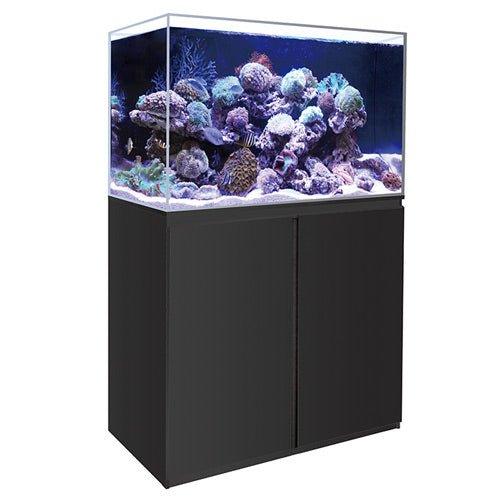 33 gallon long friendliness aquarium petco