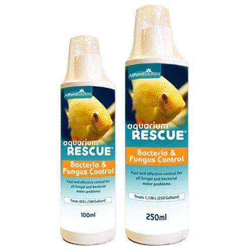 Petsolutions shop live fish