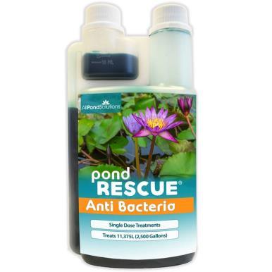 Ponds anti deals bacterial