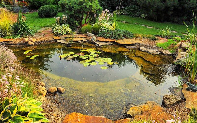 Pond Maintenance To Prepare For Summer – AllPondSolutions