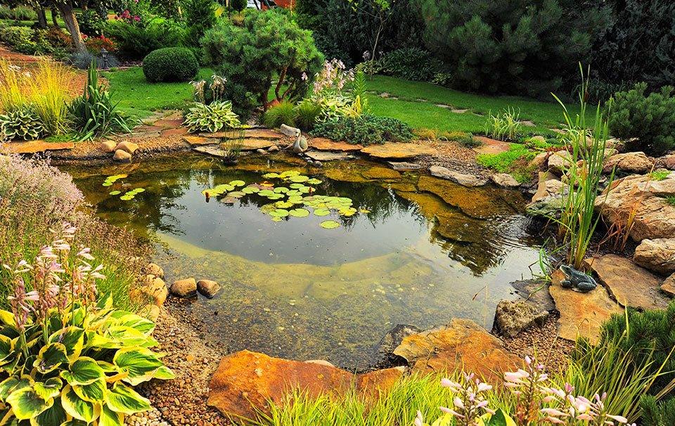 Effectively Get Rid of Pond Sludge – AllPondSolutions