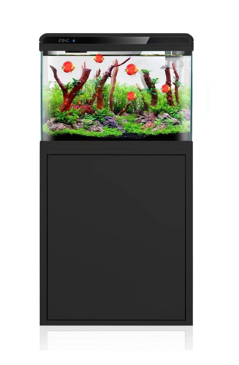 Fiber fish outlet tank online