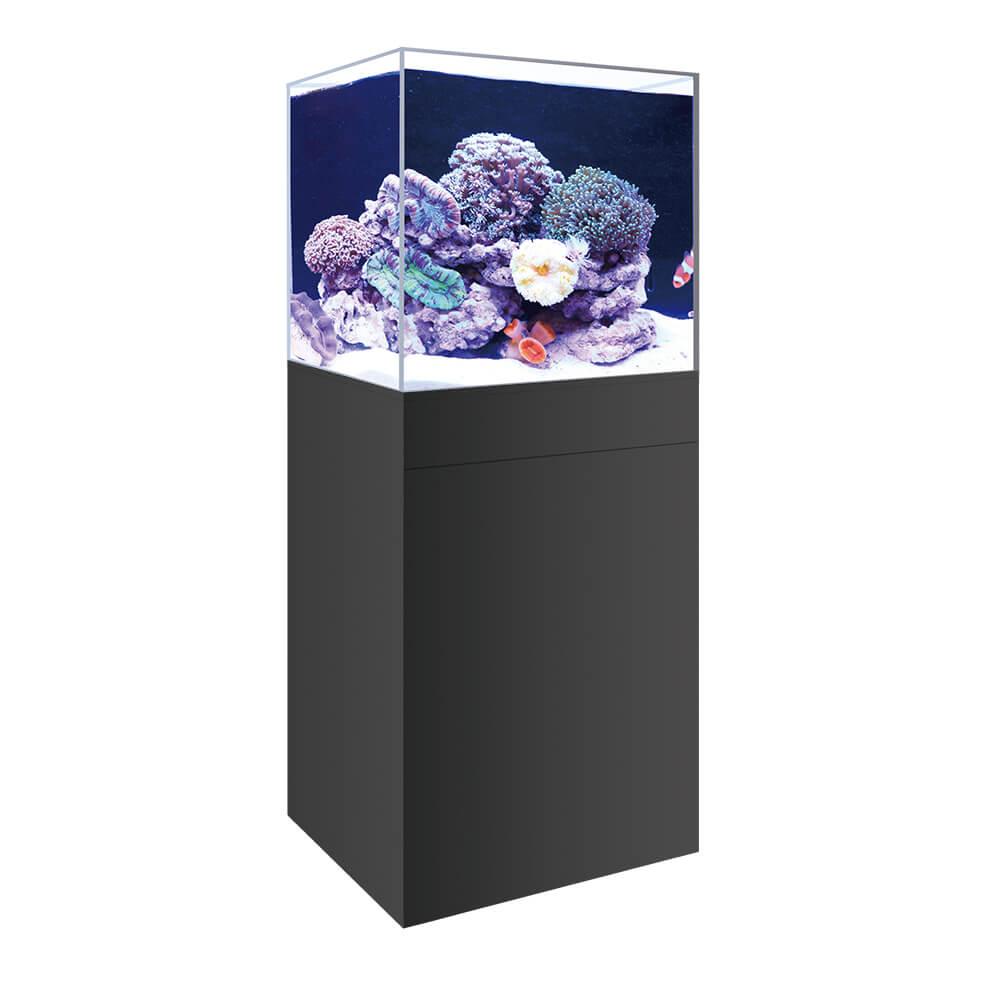 150l shop fish tank